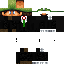 Texture for Red-Shell Luigi Tux