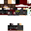 Texture for WE4P_Thomas