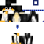 Texture for ssgolinkgod