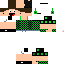 Texture for steve