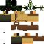 Texture for ds
