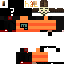 Texture for leo