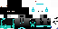 Texture for ender