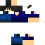 Texture for stevex true