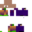 Texture for Solomon