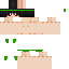 Texture for ds
