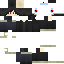Texture for sda