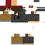 Texture for robert