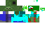 Texture for AMIR