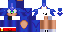 Texture for sonic the heghog