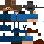 Texture for EngineerBLUE