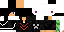 Texture for XL-1