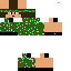 Texture for remixbr04