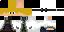 Texture for steve