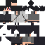 Texture for gabriel