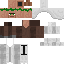 Texture for librarian
