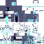 Texture for Steve