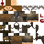 Texture for Aspect1