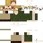Texture for Forest SoftBoy