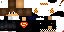 Texture for ninja048