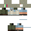 Texture for Fizinpop E