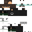 Texture for BlueWalker_Mc