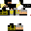 Texture for Seth Rollins