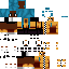 Texture for lisa