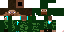 Texture for PiChA