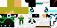 Texture for max