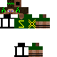 Texture for Steve12