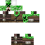 Texture for ed