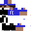 Texture for Fe_BR
