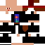 Texture for Pracant