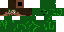 Texture for gress mannen