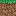 Texture for mint grass