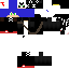 Texture for ds5ds 