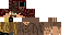 Texture for lost miner