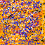Texture for Pack icon