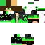 Texture for steve
