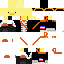 Texture for army duck