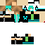 Texture for jay