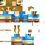 Texture for Link Girl botw