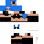 Texture for SwitchDommes2