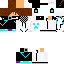 Texture for henriquepww