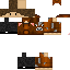 Texture for swan