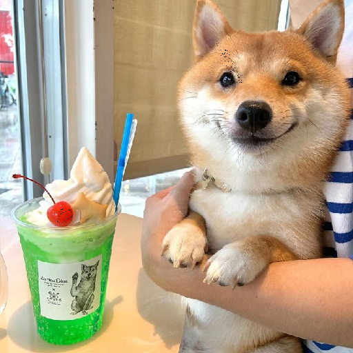 Texture for doggo