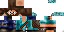 Texture for Steve