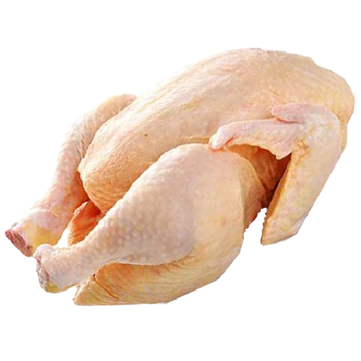 Texture for chicken_raw