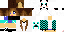 Texture for vassy version x2